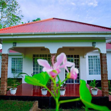 Royal Homestay Moshi Luaran gambar